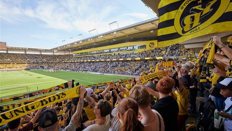 BSC YB 1 e1753088731179